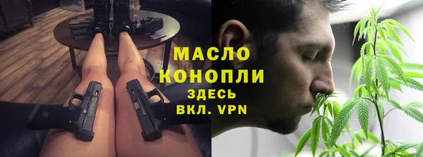 гидра Горнозаводск