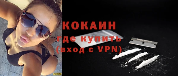 гидра Горнозаводск