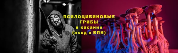 каннабис Тайга