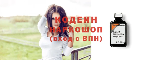 гидра Горнозаводск