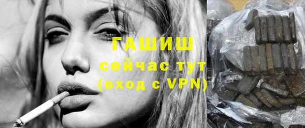 гидра Горнозаводск
