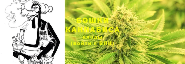 кристаллы Гусев