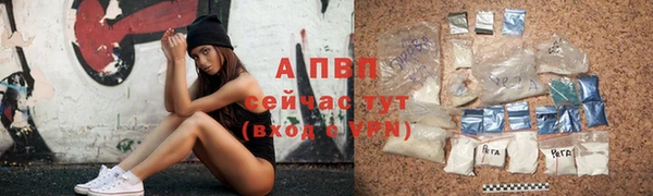 гидра Горнозаводск