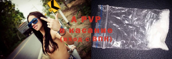 гидра Горнозаводск