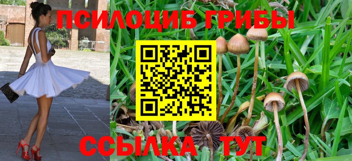 Псилоцибиновые грибы мицелий Ялта
