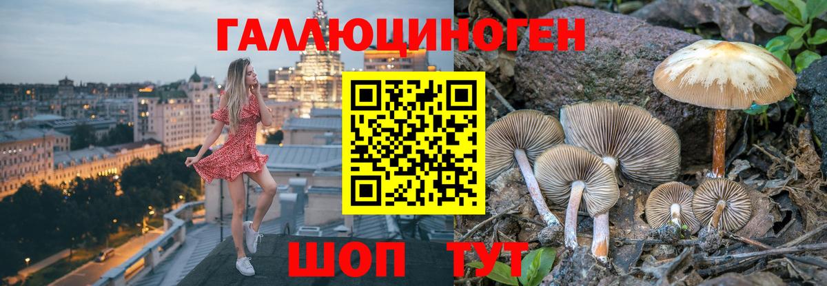 Галлюциногенные грибы Psilocybe  Вход с VPN  продажа наркотиков  Ялта 